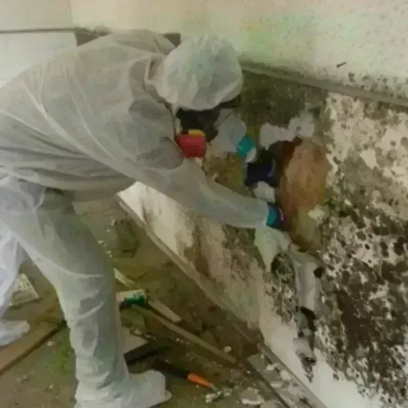 Mold Remediation and Removal in Southbridge, MA